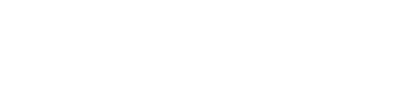 DWK Established 2011_White